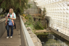 Biosphere 2