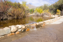 Sabino Canyon